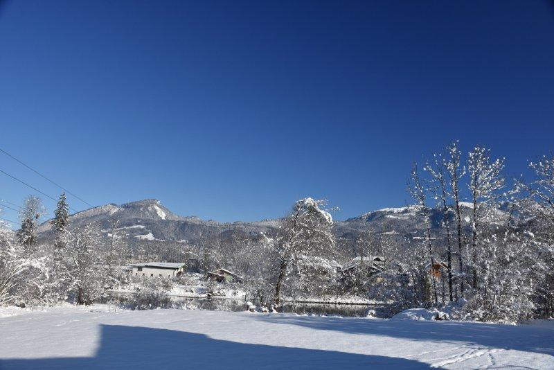 Landhaus Hallstatt Feeling - Apartment - Self Check-In Bad Goisern Luaran gambar